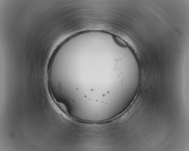 X0000111211088200907011046