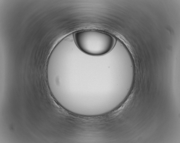 X0000111211089200907011046