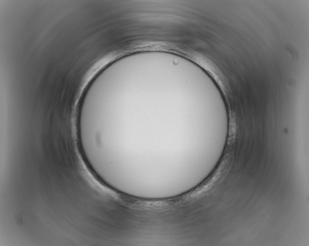 X0000111211090200907011046