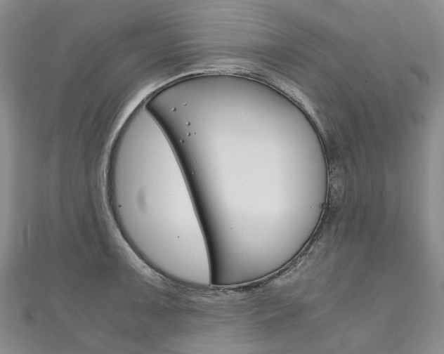 X0000111211091200907011046
