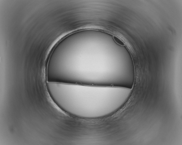 X0000111211092200907011046