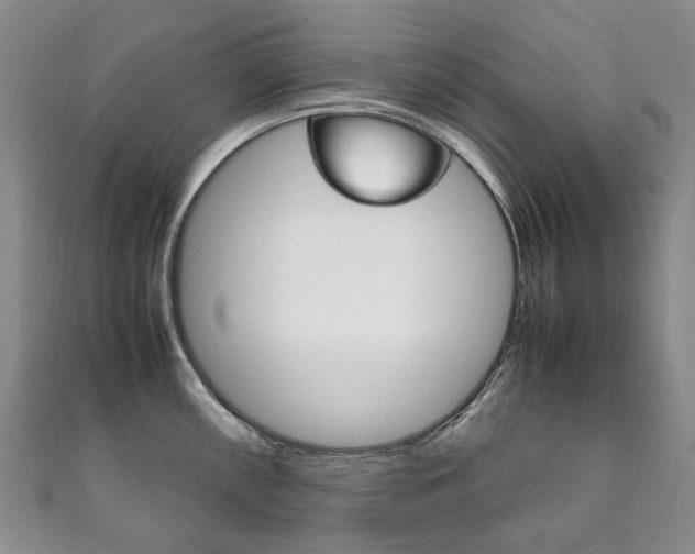 X0000111211098200907011046