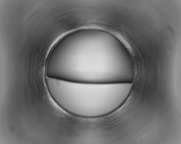 X0000111211100200907011046
