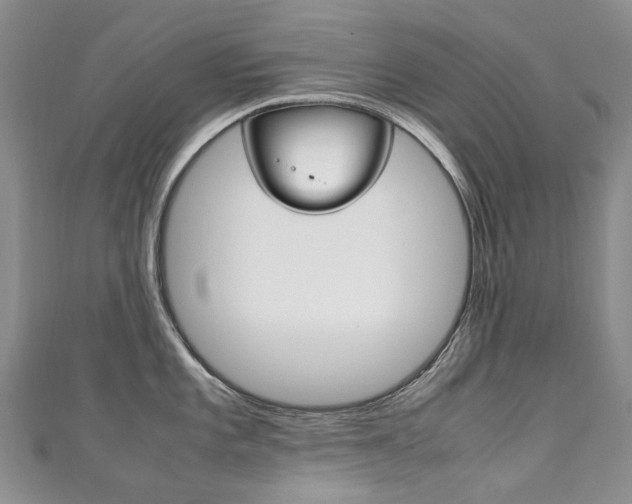X0000111211101200907011046