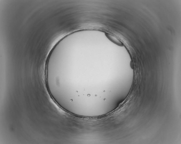 X0000111211103200907011046