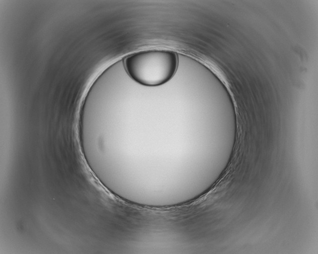 X0000111211104200907011046