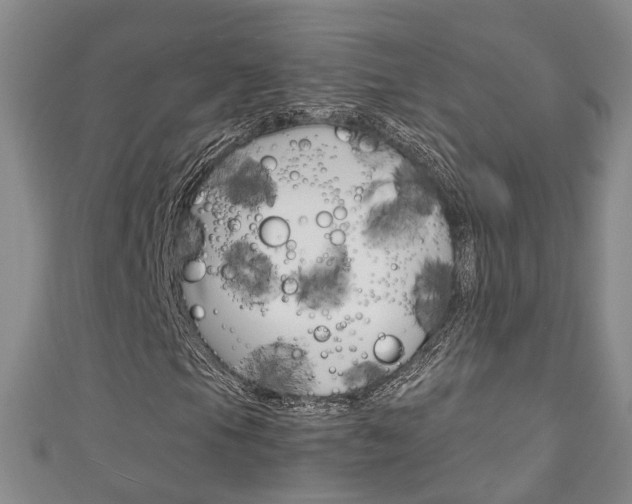 X0000111211105200907011045