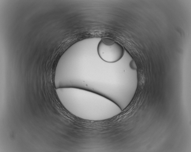 X0000111211106200907011045