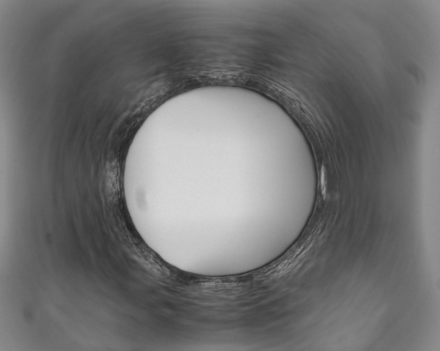 X0000111211107200907011045
