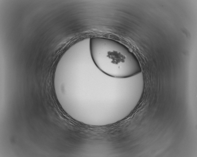 X0000111211110200907011045