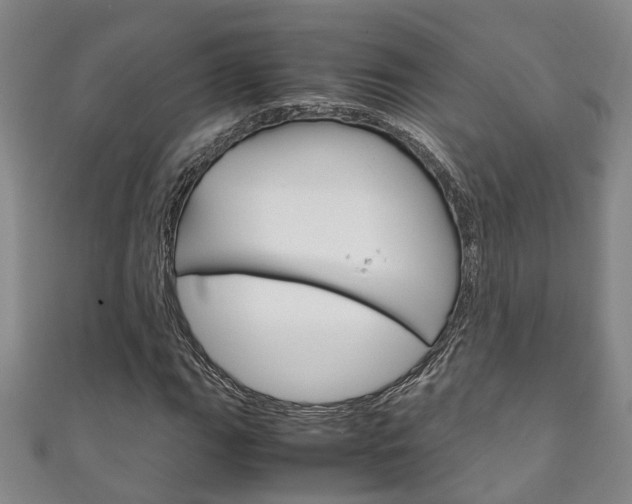 X0000111211111200907011045