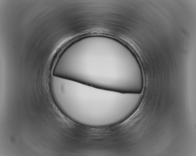 X0000111211115200907011045