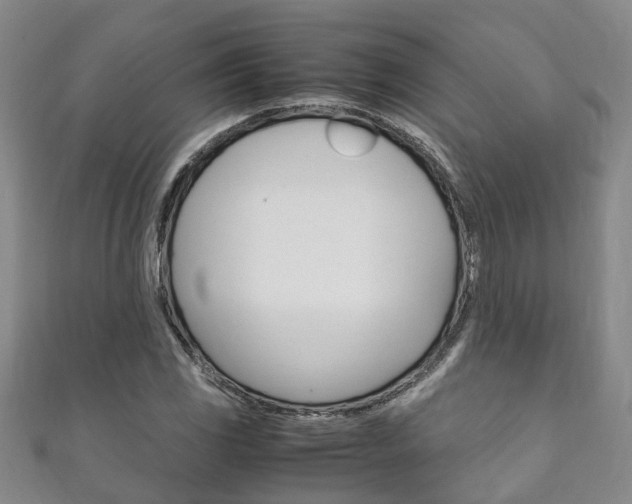 X0000111211117200907011045