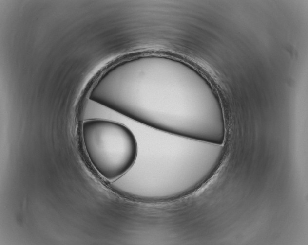 X0000111211118200907011045