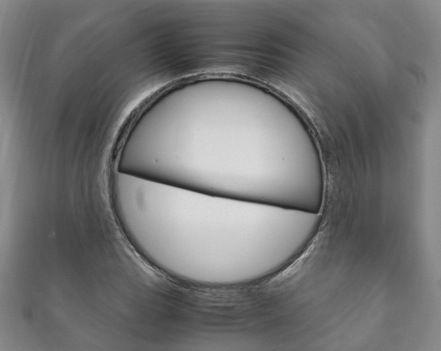 X0000111211119200907011045