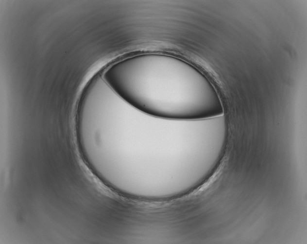 X0000111211122200907011045