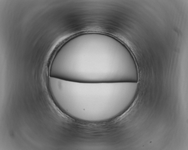 X0000111211123200907011045