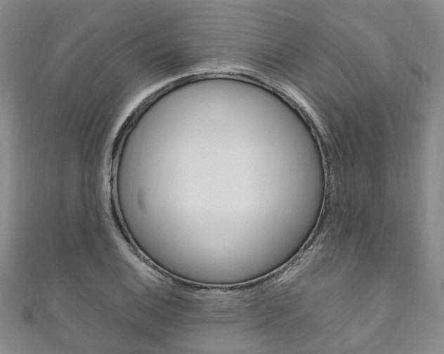 X0000111211124200907011045