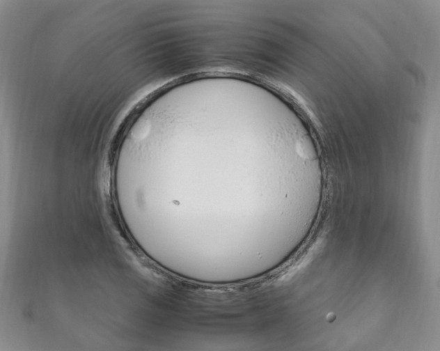 X0000111211125200907011045