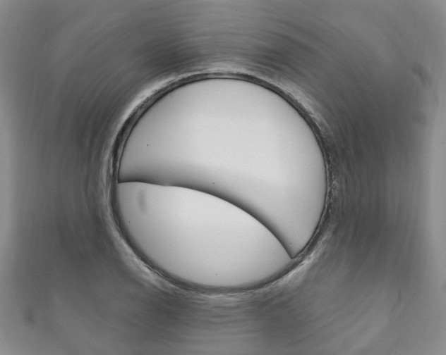 X0000111211126200907011045