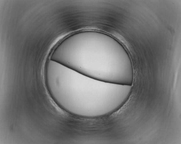 X0000111211127200907011045