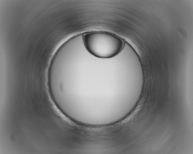 X0000111211134200907011045