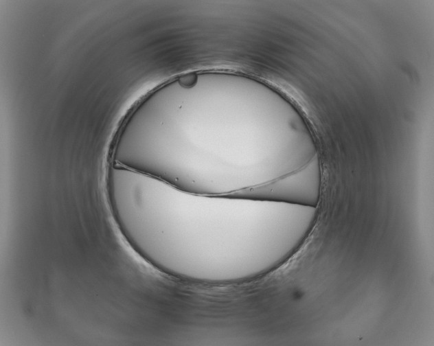X0000111211135200907011046