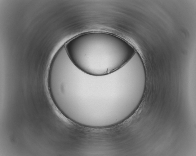 X0000111211136200907011046