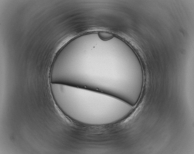 X0000111211137200907011046