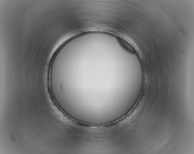 X0000111211138200907011046
