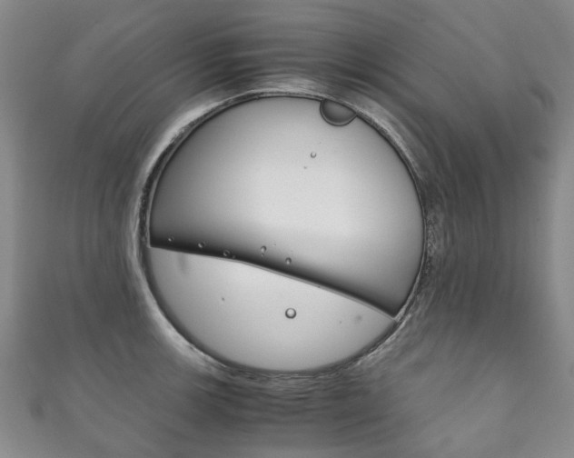 X0000111211139200907011046