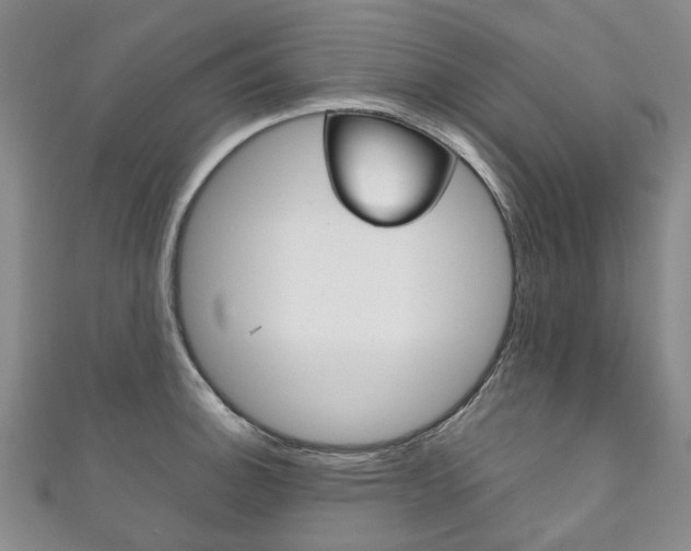 X0000111211140200907011046