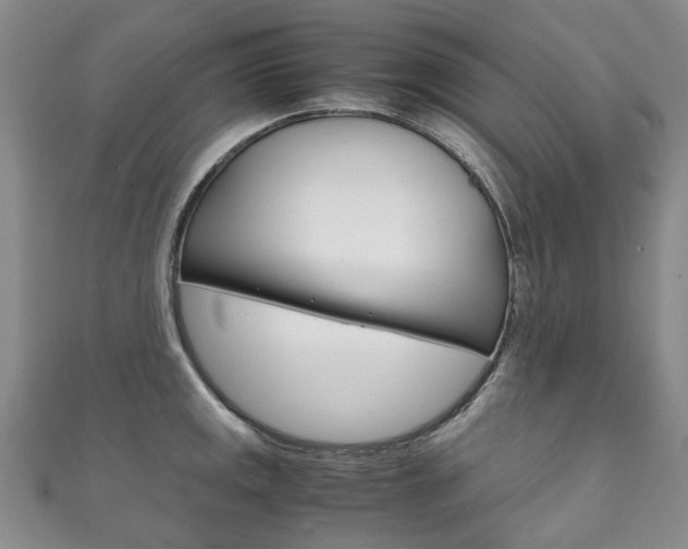 X0000111211141200907011046