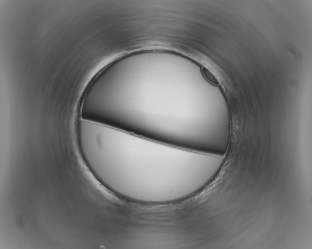X0000111211142200907011046