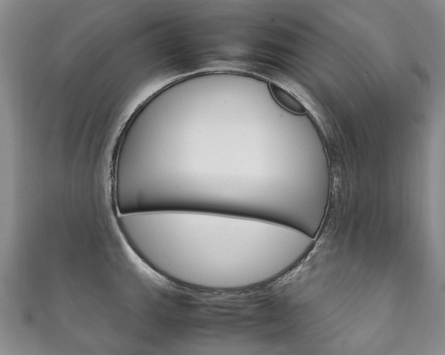 X0000111211143200907011046