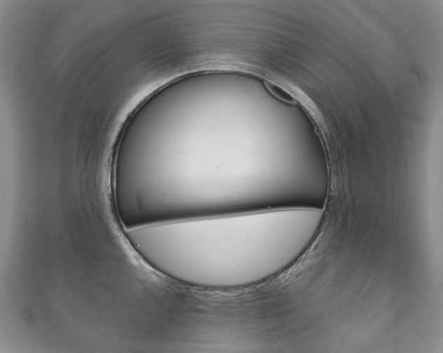 X0000111211144200907011046
