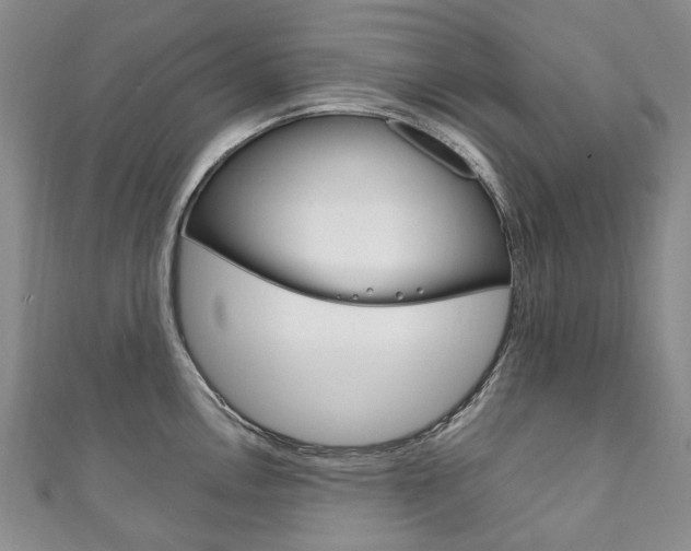 X0000111211146200907011046