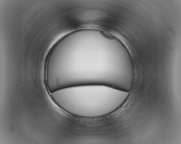 X0000111211147200907011046