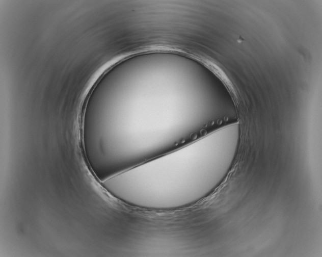 X0000111211148200907011046