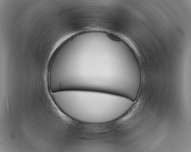 X0000111211149200907011046