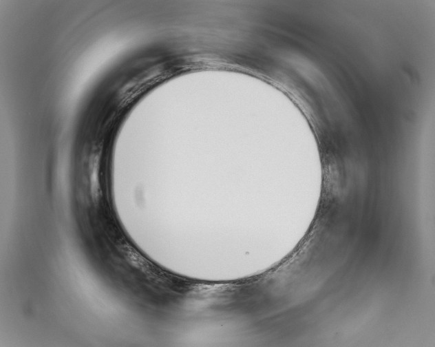 X0000111211150200907011046