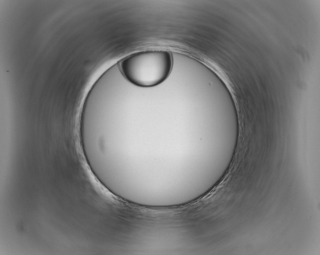 X0000111211152200907011046