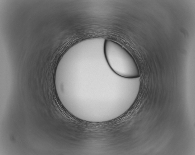 X0000111211153200907011045