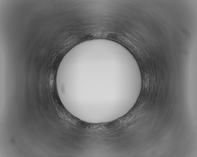 X0000111211154200907011045