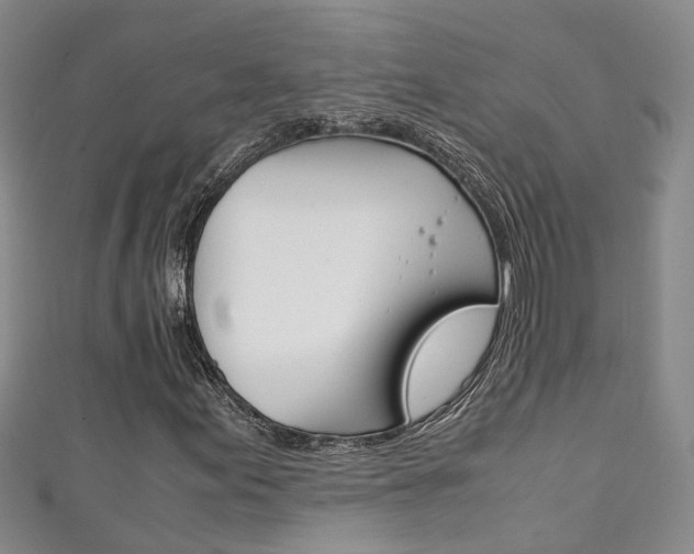 X0000111211155200907011045