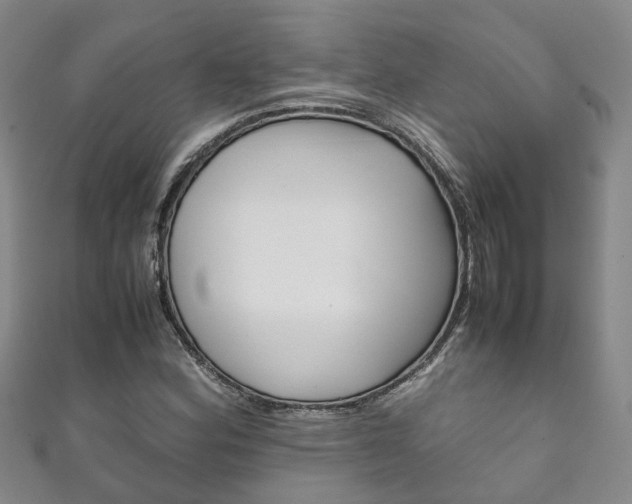 X0000111211164200907011045