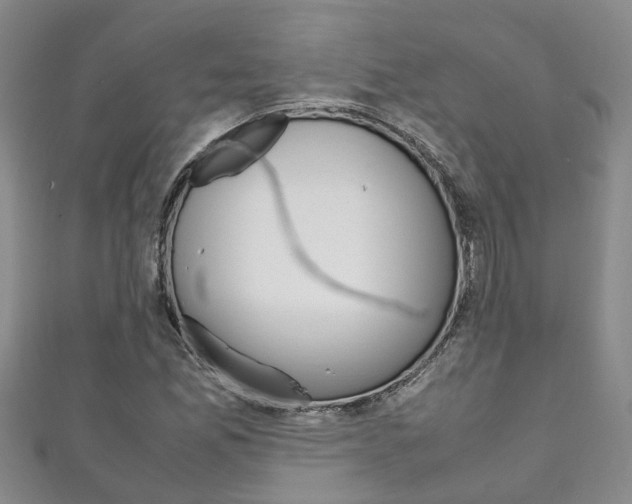 X0000111211165200907011045