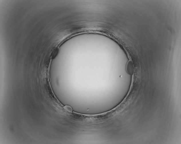 X0000111211169200907011045
