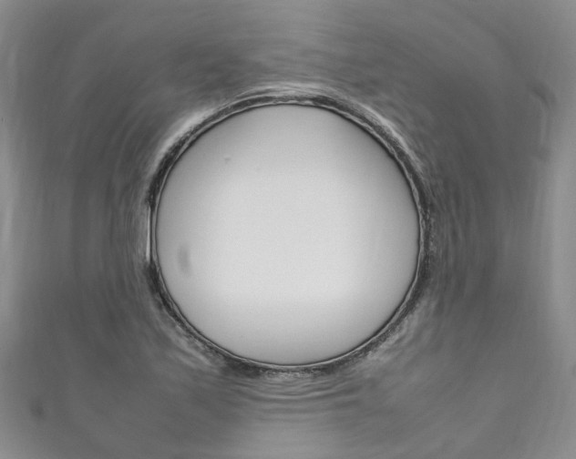 X0000111211171200907011045