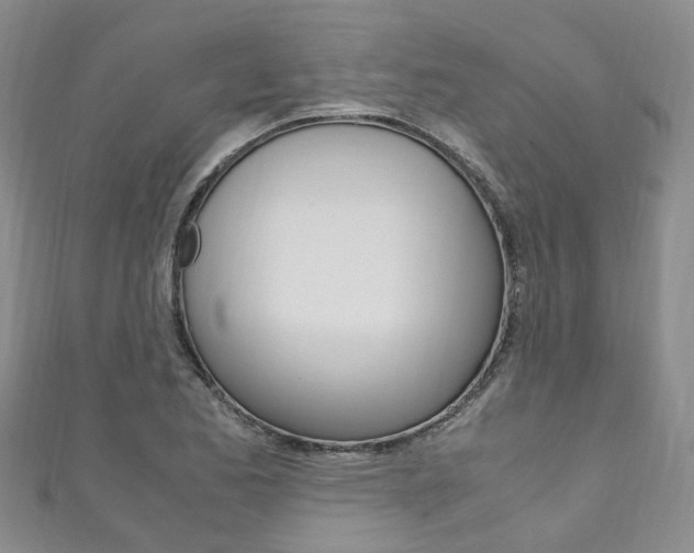 X0000111211173200907011045